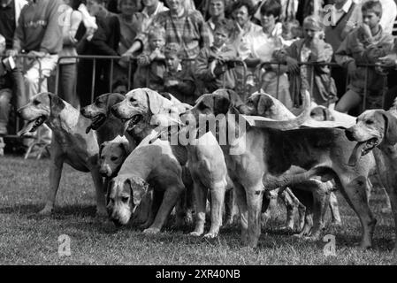 Concorso di salto ostacoli vari Haarlemmermeersebos, Haarlemmermeer, Haarlemmermeerse Bos, 16-06-1990, Whizgle Dutch News: Immagini storiche su misura per il futuro. Esplora il passato dei Paesi Bassi con prospettive moderne attraverso le immagini delle agenzie olandesi. Colmare gli eventi di ieri con gli approfondimenti di domani. Intraprendi un viaggio senza tempo con storie che plasmano il nostro futuro. Foto Stock