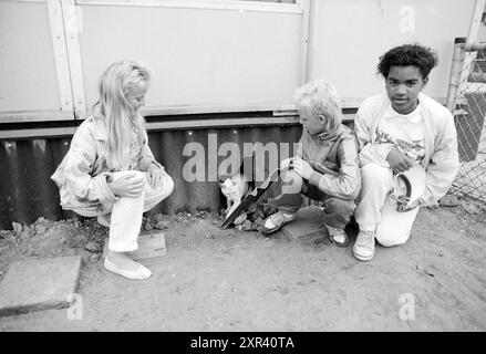 3 ragazze con velserbroek di gatto randagio, gatti, persone, Velserbroek, 26-07-1988, Whizgle Dutch News: immagini storiche su misura per il futuro. Esplora il passato dei Paesi Bassi con prospettive moderne attraverso le immagini delle agenzie olandesi. Colmare gli eventi di ieri con gli approfondimenti di domani. Intraprendi un viaggio senza tempo con storie che plasmano il nostro futuro. Foto Stock