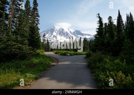 Vista sul monte Rainier dal Nisqually Vista Trail, area Paradise nel Mount Rainier National Park, attività ricreative all'aperto nella natura in una giornata estiva di sole Foto Stock