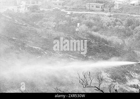 Incendio sulle dune, Wijk aan Zee, incendi, vigili del fuoco, dune, 01-07-1976, Whizgle Dutch News: immagini storiche su misura per il futuro. Esplora il passato dei Paesi Bassi con prospettive moderne attraverso le immagini delle agenzie olandesi. Colmare gli eventi di ieri con gli approfondimenti di domani. Intraprendi un viaggio senza tempo con storie che plasmano il nostro futuro. Foto Stock