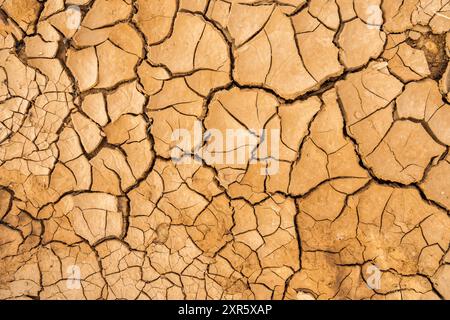 consistenza di fango secco in terreno arido Foto Stock