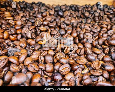 consistenza dei chicchi di caffè crudi - messa a fuoco selettiva Foto Stock