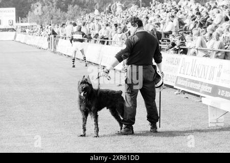 Crowds and Police at RCH, Football R.C.H., 02-10-1988, Whizgle Dutch News: Immagini storiche su misura per il futuro. Esplora il passato dei Paesi Bassi con prospettive moderne attraverso le immagini delle agenzie olandesi. Colmare gli eventi di ieri con gli approfondimenti di domani. Intraprendi un viaggio senza tempo con storie che plasmano il nostro futuro. Foto Stock