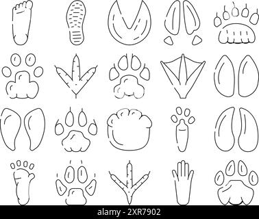 Hoof Print Vector Set di scarpe per animali, uccelli e esseri umani Illustrazione Vettoriale