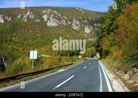 Strada di montagna attraverso la splendida foresta in autunno vicino a Oplave, Visegrad, Bosnia ed Erzegovina Foto Stock