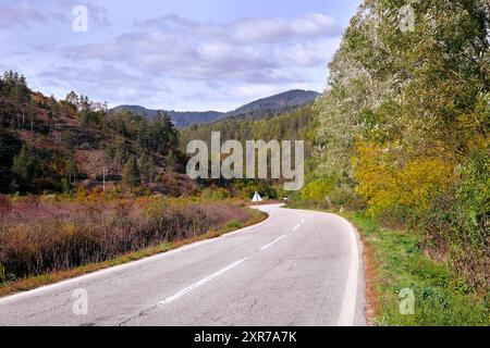 Strada di montagna attraverso la splendida foresta in autunno vicino a Donij Dobrun, Visegrad, Bosnia ed Erzegovina Foto Stock