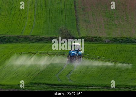 Vista aerea del trattore che spruzza il prodotto in campi verdi con pesticidi. Foto Stock