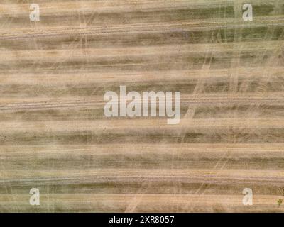 Sfondo agricolo con linee parallele dei cingoli del trattore in un campo dopo la mietitura Foto Stock