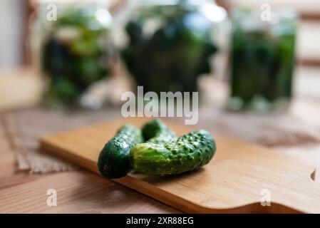 Preparazione per la fermentazione dei cetrioli mediante un processo di decapaggio denominato fermentazione dell'acido lattico. Tali cetrioli fermentati hanno una lunga durata di conservazione e lo sono Foto Stock