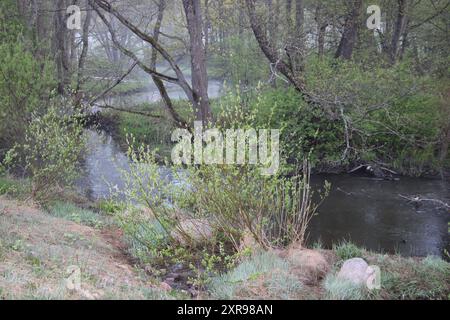 Glimsinjoki, Espoo, Finlandia Foto Stock