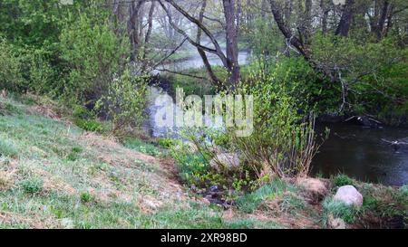 Glimsinjoki, Espoo, Finlandia Foto Stock