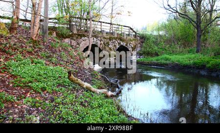 Glimsinjoki, Espoo, Finlandia Foto Stock