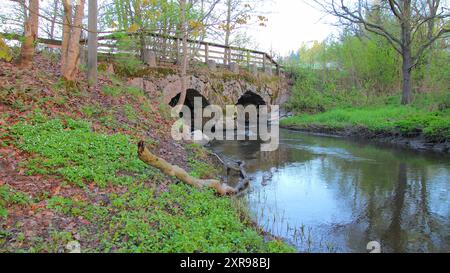 Glimsinjoki, Espoo, Finlandia Foto Stock