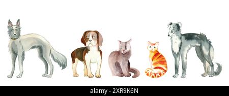 Una serie di illustrazioni ad acquerello. Animali domestici, cani di diverse razze, beagle, levrieri, gatto grigio e rosso. Tutti gli oggetti sono disegnati a mano con acquerelli. Foto Stock