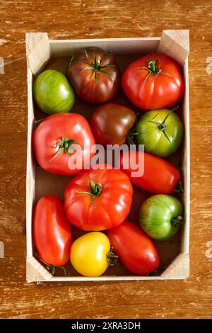 In einer kleinen Holzkiste liegen verschiedene Tomatensorten. SIE sind normal rot, dunkel rot, gelb und Grün gestreift. Es sind Fleischtomaten runde T Foto Stock