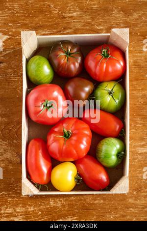 In einer kleinen Holzkiste liegen verschiedene Tomatensorten. SIE sind normal rot, dunkel rot, gelb und Grün gestreift. Es sind Fleischtomaten runde T Foto Stock