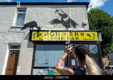 Londra, Regno Unito. 9 agosto 2024. Una nuova opera d'arte di Banksy. Raffigurante un paio di pellicani, è apparso in cima al Bonners Fish Bar, un negozio di pesce e chip vicino a Walthamstow. Questa settimana, nella capitale sono apparse quotidianamente nuove opere dell'artista con un tema animale e finora comprende una capra di montagna, due elefanti e tre scimmie. Un quarto lavoro, raffigurante un lupo ulululante dipinto su una parabola satellitare a Peckham, fu rubato poco dopo essere stato rivelato il giorno precedente. Crediti: Stephen Chung / Alamy Live News Foto Stock