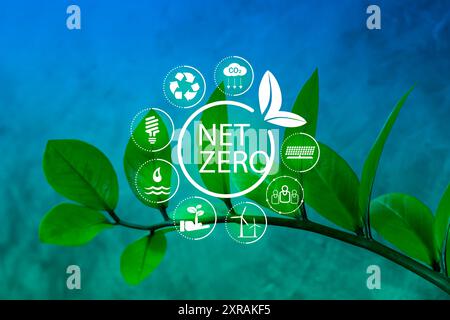 Simbolo netto zero su una diramazione, filiale di una pianta. Foglie verdi e simbolo netto zero. Simbolo di sostenibilità ambientale su un impianto. Sistema di emissioni zero di carbonio Foto Stock