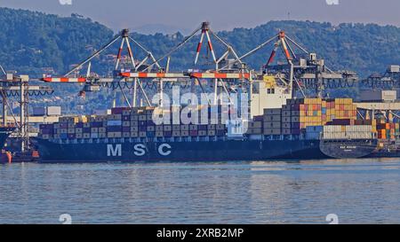 La Spezia, Italia - 3 ottobre 2009: Caricamento della nave container MSC al Cargo Port Transportation Autumn Day. Foto Stock