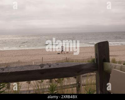 Coppia che cammina lungo una spiaggia camminando con cani al guinzaglio. I cani camminano nella sabbia vicino all'oceano. Foto Stock