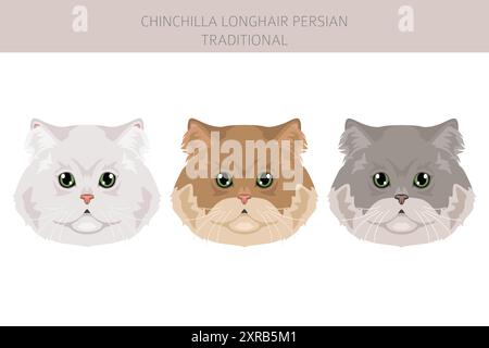 Chinchilla Persiano Longhair Clipart tradizionale di gatto. Set di colori per tutti i rivestimenti. Infografica sulle caratteristiche di tutte le razze di gatto. Illustrazione vettoriale Illustrazione Vettoriale