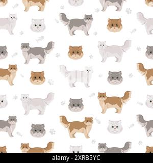 Chinchilla Persiano Longhair Traditional Cat senza cuciture. Set di colori per tutti i rivestimenti. Infografica sulle caratteristiche di tutte le razze di gatto. Illustrazione vettoriale Illustrazione Vettoriale