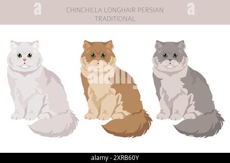 Chinchilla Persiano Longhair Clipart tradizionale di gatto. Set di colori per tutti i rivestimenti. Infografica sulle caratteristiche di tutte le razze di gatto. Illustrazione vettoriale Illustrazione Vettoriale