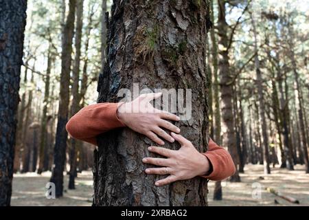 Amante della natura che abbraccia il tronco con muschio verde nella foresta tropicale. Sfondo verde naturale. Il concetto di persone ama la natura e protegge dalla deforestazione, dall'inquinamento o dal cambiamento climatico Foto Stock