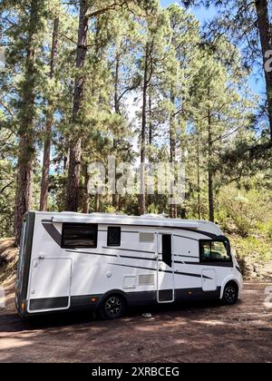 Un moderno parcheggio per camper nella natura da solo per una vacanza in libertà alternativa. Vivere fuori rete in stile vanlife. Veicolo ricreativo nella foresta Foto Stock