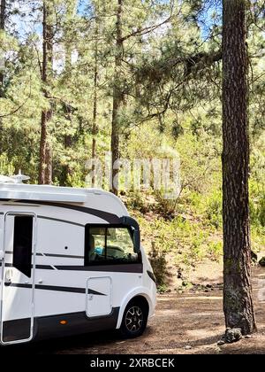 Un moderno parcheggio per camper nella natura da solo per una vacanza in libertà alternativa. Vivere fuori rete in stile vanlife. Veicolo ricreativo nella foresta Foto Stock