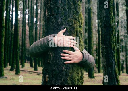 Amante della natura che abbraccia il tronco con muschio verde nella foresta tropicale. Sfondo verde naturale. Il concetto di persone ama la natura e protegge dalla deforestazione, dall'inquinamento o dal cambiamento climatico Foto Stock