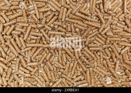 Sullo sfondo di un pellet di legno per stufe e caldaie. Foto Stock