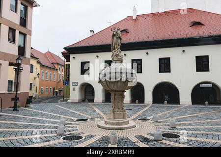 La decorazione di Piazza Orsolya a Sopron è il pozzo di Maria, Ungheria Foto Stock