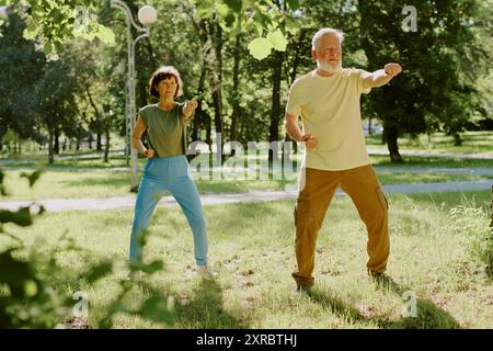 Coppie senior che praticano karate nel parco durante la calda giornata estiva Foto Stock