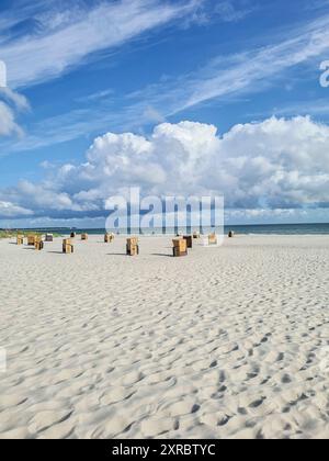 Sedie a sdraio in una giornata d'estate nella luce gialla della sera contro un cielo blu su una spiaggia di sabbia bianca nella località balneare Baltica di Prerow, Meckle Foto Stock