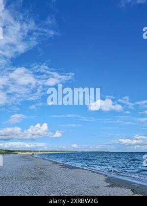 Vista del mare con sole e ombra in una giornata d'estate sul bordo dell'ampia spiaggia sabbiosa nella località balneare Baltica di Prerow, Meclemburgo-Vorpommern, Germania Foto Stock