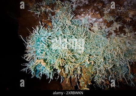 Grotte de l'Asperge nel dipartimento di Herault, Francia Foto Stock