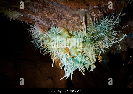 Grotte de l'Asperge nel dipartimento di Herault, Francia Foto Stock