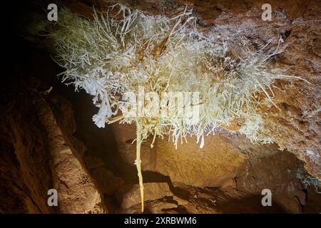 Grotte de l'Asperge nel dipartimento di Herault, Francia Foto Stock