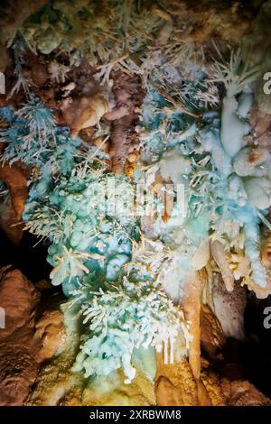Grotte de l'Asperge nel dipartimento di Herault, Francia Foto Stock