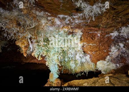Grotte de l'Asperge nel dipartimento di Herault, Francia Foto Stock