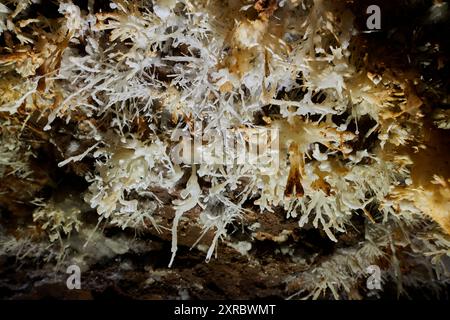 Grotte de l'Asperge nel dipartimento di Herault, Francia Foto Stock