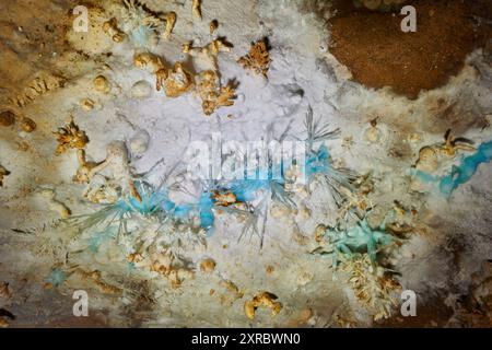 Grotte de l'Asperge nel dipartimento di Herault, Francia Foto Stock