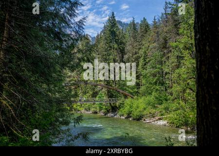 Vista del ponte sul fiume Middle Fork Snoqualmie nella valle del fiume Middle Fork Snoqualmie vicino a North Bend nello stato di Washington, Stati Uniti Foto Stock