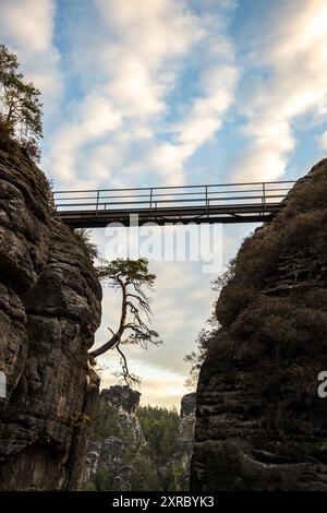 Fotografa il paesaggio al mattino in un paesaggio roccioso intorno al ponte Bastei nelle montagne di arenaria dell'Elba vicino a Dresda, Sassonia, Germania Foto Stock