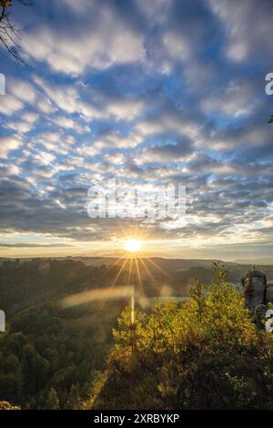 Fotografa il paesaggio al mattino in un paesaggio roccioso intorno al ponte Bastei nelle montagne di arenaria dell'Elba vicino a Dresda, Sassonia, Germania Foto Stock