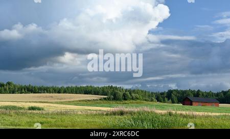 L'immagine cattura un tranquillo paesaggio rurale caratterizzato da ampi campi e un fienile di legno. I campi sono un mix di sfumature verdi e dorate, suggerendo Foto Stock