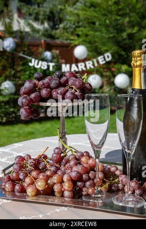 Sistemazione con 2 bicchieri da champagne e una bottiglia di champagne accanto all'uva rossa su un vassoio d'argento, tavolo con tovaglia bianca in giardino, preparazione per un matrimonio in giardino, scritta APPENA sposata sfocata sullo sfondo Foto Stock