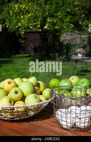 Le mele bianche artificiali e le mele verdi fresche del melo sullo sfondo si trovano in vari cesti di filo su una tavola di legno, raccolta e decorazione con frutta Foto Stock