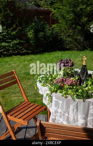 Un accordo con 2 bicchieri di champagne e una bottiglia di champagne accanto all'uva rossa e al luppolo di birra come decorazione, due sedie di legno accanto a un tavolo con tovaglia bianca su una terrazza in un giardino, preparazione per una celebrazione in giardino, una celebrazione e una festa Foto Stock